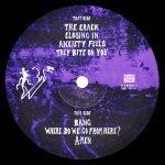 Goat Girl – On All Fours 2LP Plak - Görsel 5