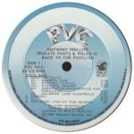 Anthony Phillips – Private Parts & Pieces II: Back To The Pavilion LP Plak - Görsel 3