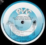 Anthony Phillips – Private Parts & Pieces II: Back To The Pavilion LP Plak - Görsel 4