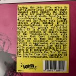 Teenage Jesus And The Jerks LP Plak - Görsel 2