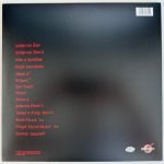 The Sabres Of Paradise – Haunted Dancehall 2LP Plak - Görsel 2