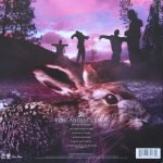Soundgarden – King Animal Demos 10'' LP Plak - Görsel 2