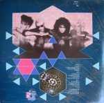 Siouxsie And The Banshees ‎– Nocturne 2LP Plak - Görsel 2