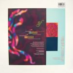 David Sylvian And Robert Fripp – Darshan 12" Maxi Single Plak (Electronic) - Görsel 2