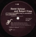 David Sylvian And Robert Fripp – Darshan 12" Maxi Single Plak (Electronic) - Görsel 3
