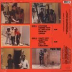 Scientist – Introducing Scientist - The Best Dub Album In The World... LP Plak - Görsel 3