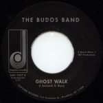 The Budos Band – The Proposition 45lik Plak - Görsel 2