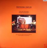 Laraaji / Sun Araw – Professional Sunflow 2LP Plak - Görsel 2