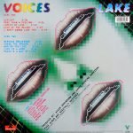 Lake – Voices LP Plak - Görsel 2