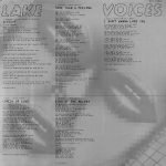 Lake – Voices LP Plak - Görsel 3