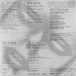 Lake – Voices LP Plak - Görsel 4