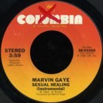 Marvin Gaye – Sexual Healing 45lik Plak - Görsel 2