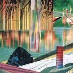 Group Rhoda – Wilderless LP Plak