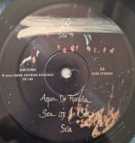 Group Rhoda – Wilderless LP Plak - Görsel 3