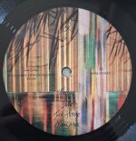 Group Rhoda – Wilderless LP Plak - Görsel 4