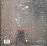 Group Rhoda – Wilderless LP Plak - Görsel 2