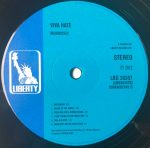 Morrissey – Viva Hate LP Plak - Görsel 4