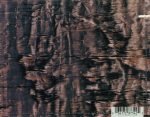 A Minor Forest – Flemish Altruism (Constituent Parts 1993-1996) CD - Görsel 2