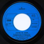 Yarbrough & Peoples – Don't Stop The Music 45lik Plak - Görsel 4