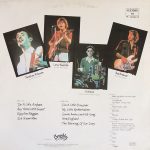 Modern Lovers – Live LP Plak - Görsel 2