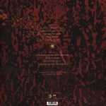 Coil – Love's Secret Domain LP Plak - Görsel 2