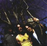 North Mississippi Allstars – Shake Hands With Shorty CD - Görsel 3