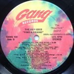 The Kay-Gees – Find A Friend LP Plak - Görsel 4