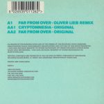 Kamaya Painters – Far From Over / Cryptomnesia 12''Maxi Single Plak (Trance) - Görsel 5