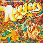 Nuggets: Original Artyfacts From The First Psychedelic Era 1965-1968 2LP Plak