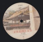 Enigma – Push The Limits 12'' Maxi Single Plak (Ambient) - Görsel 3
