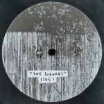 Arcade Fire – The Suburbs 2LP Plak - Görsel 3