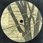 Arcade Fire – The Suburbs 2LP Plak - Görsel 4