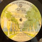 James Taylor – In The Pocket LP Plak - Görsel 6