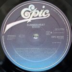 Brick – Summer Heat LP Plak - Görsel 4