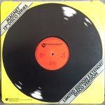 Wild Fantasy – Jungle Drums 12'' Maxi Single Plak - Görsel 2