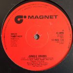 Wild Fantasy – Jungle Drums 12'' Maxi Single Plak - Görsel 3