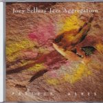 Joey Sellers' Jazz Aggregation – Pastels, Ashes CD