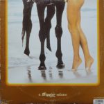 Gerhard Heinz – Melodies In Love : The Erotic World Of Gerhard Heinz 2LP Plak - Görsel 2