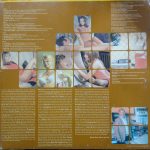 Gerhard Heinz – Melodies In Love : The Erotic World Of Gerhard Heinz 2LP Plak - Görsel 3