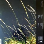 Sam Smith – Love Goes 2LP Plak - Görsel 2