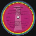 I.R.S. Greatest Hits Vols. 2 & 3 2LP Plak - Görsel 6