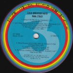 I.R.S. Greatest Hits Vols. 2 & 3 2LP Plak - Görsel 5