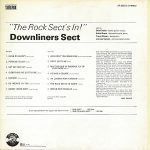 Downliners Sect – The Rock Sect's In LP Plak - Görsel 2