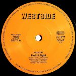 Axodry Featuring Two Of China – Feel It Right (Special Painstakin' Mix) 12'' Maxi Single Plak - Görsel 4