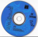 Joe Satriani – Flying In A Blue Dream CD - Görsel 3