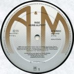Herb Alpert – Rise LP Plak - Görsel 3
