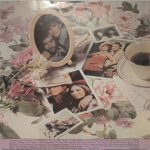 Barbra Streisand – Love Songs LP Plak - Görsel 4