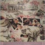 Barbra Streisand – Love Songs LP Plak - Görsel 3