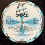 Switch – This Is My Dream LP Plak - Görsel 4