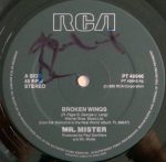 Mr. Mister – Broken Wings (Extended Version) 12'' Maxi Single Plak - Görsel 3
